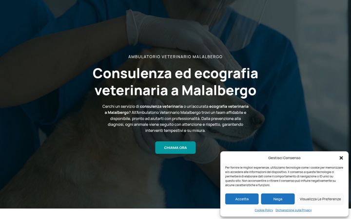 Screenshot of ambulatorioveterinariomalalbergo.it