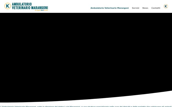 Screenshot of ambulatorioveterinariomarangoni.it