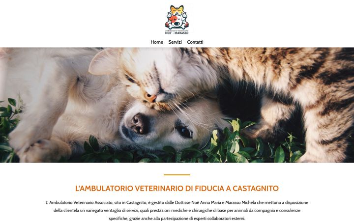 Screenshot of ambulatorioveterinariomarasso.it