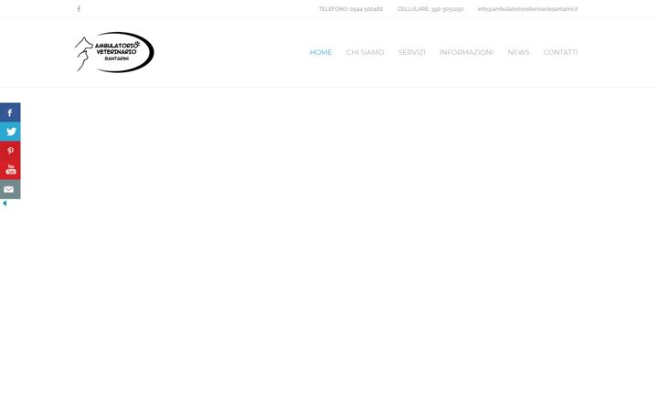 Screenshot of ambulatorioveterinariosantarini.it