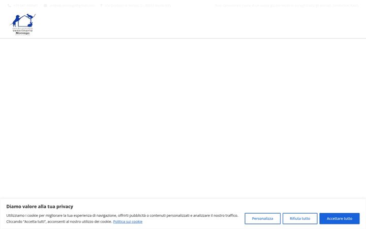Screenshot of ambulatorioveterinariotavella.it