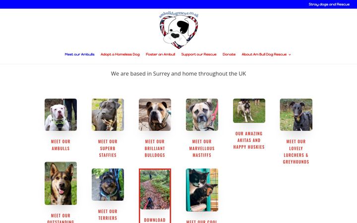 Screenshot of ambulldogrescue.co.uk