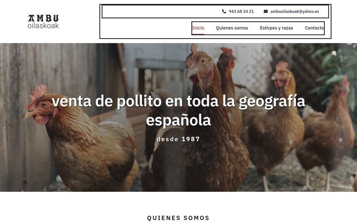Screenshot van ambuoilaskoak.com