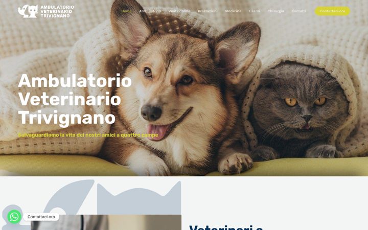 Screenshot of ambvettrivignano.it