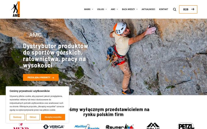 Zrzut ekranu amc.com.pl