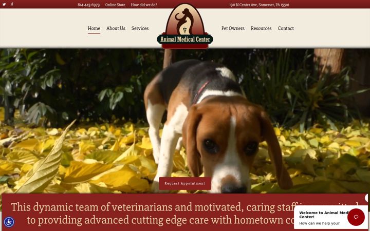 Screenshot of amcdocs.com
