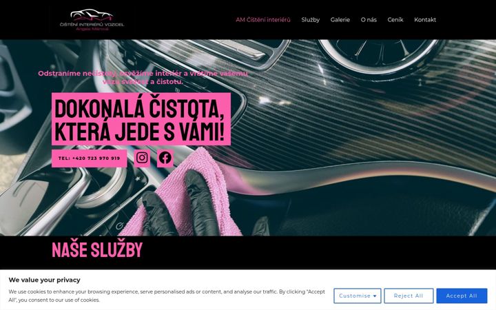 Screenshot of amcistenivozidel.cz