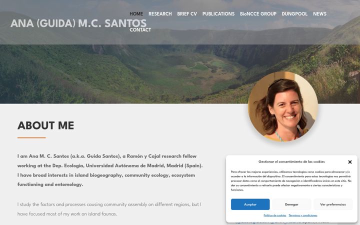 Screenshot of amcsantos.com