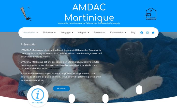 Ekrano kopija amdac-972.org