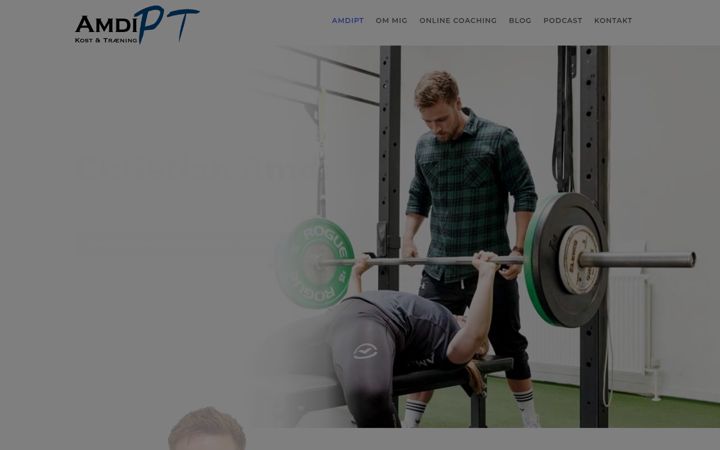 Screenshot of amdipt.dk