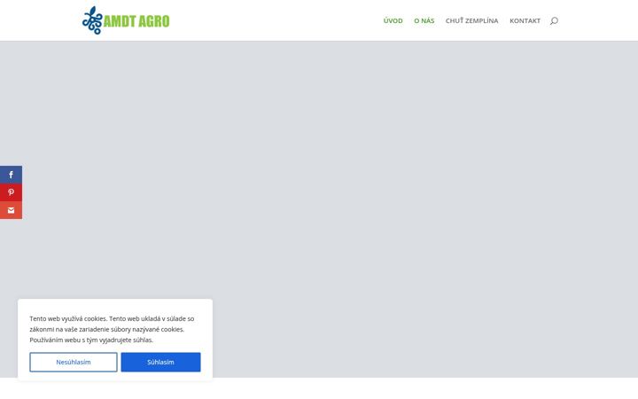 Screenshot of amdt.sk