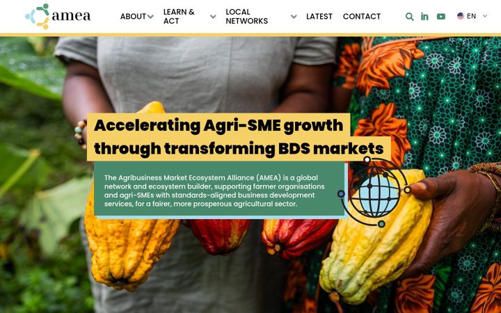 Screenshot of amea-global.com