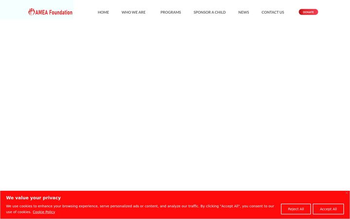 Screenshot of ameafoundation.org