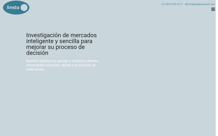 Screenshot of amebaresearch.com