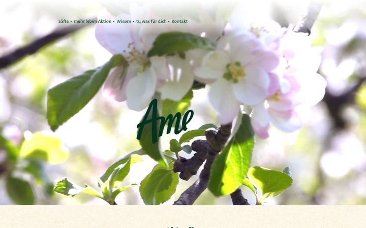 Screenshot of amecke.de