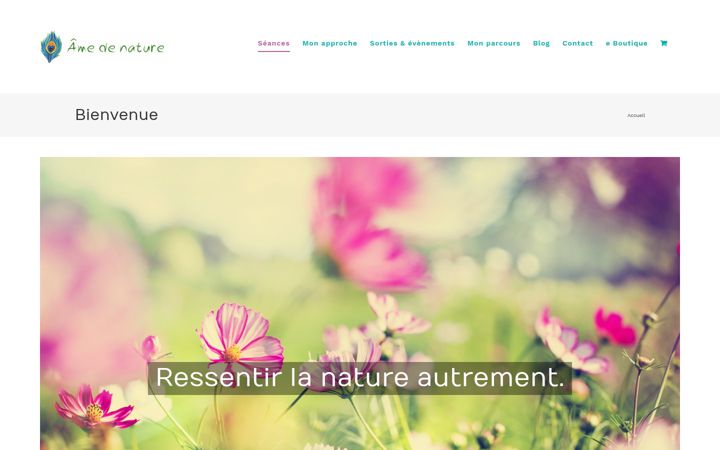 Ekrano kopija amedenature.com