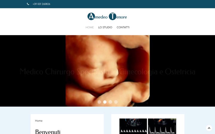 Screenshot of amedeotenore.it