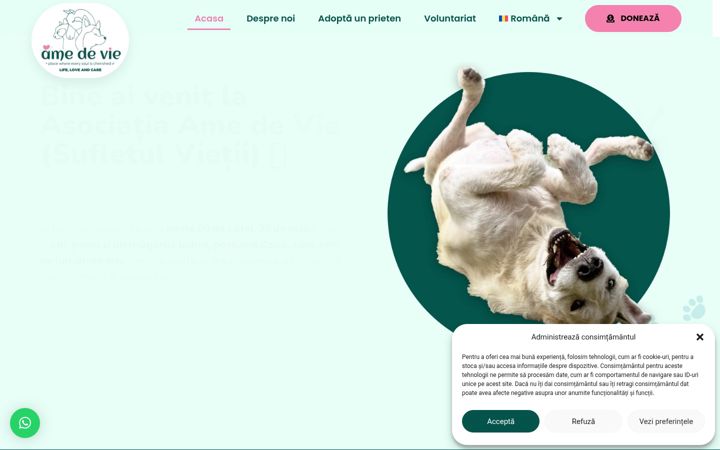 Screenshot of amedevie.ro