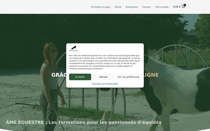 Skärmbild av ameequestre.fr