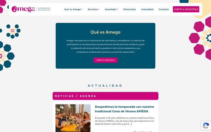 Screenshot of amegaempresarias.es