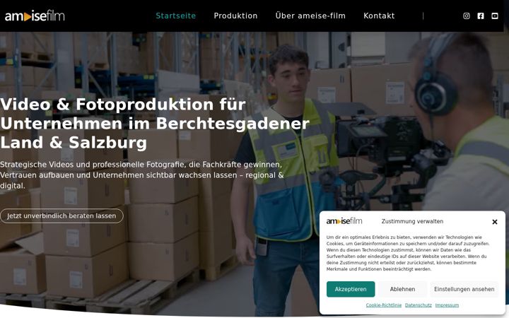Screenshot of ameise-film.de