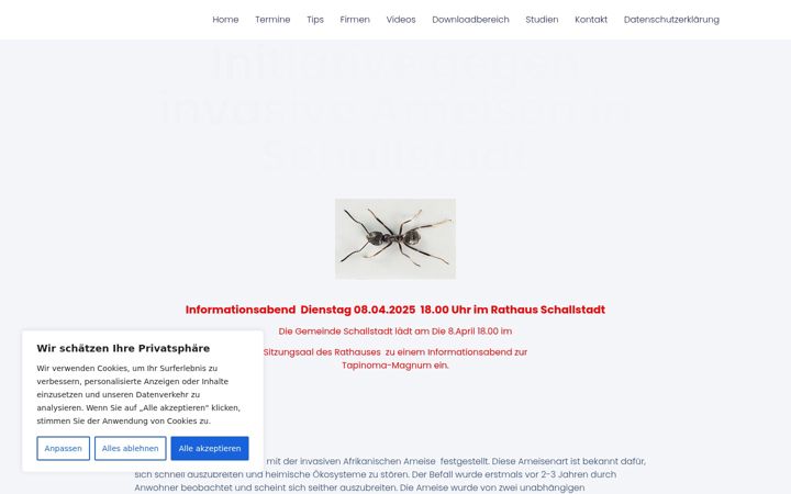 Screenshot of ameisen.online