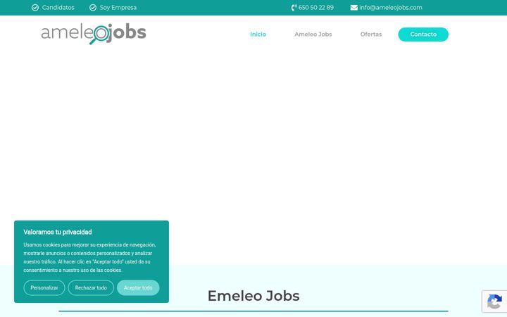 Screenshot of ameleojobs.com