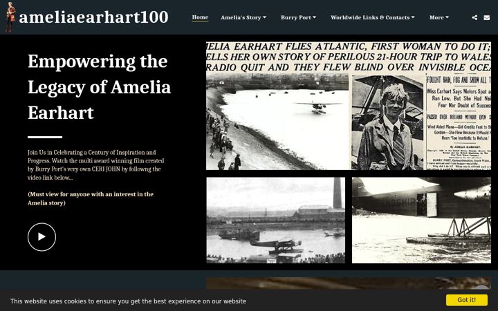 Screenshot of ameliaearhart100.com