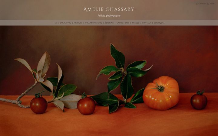 Screenshot of ameliechassary.com