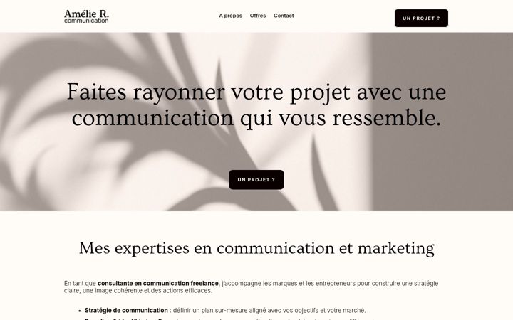 Zrzut ekranu ameliercommunication.com
