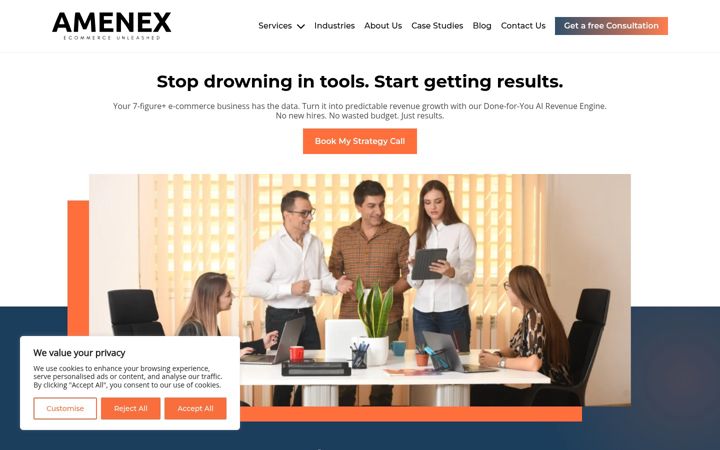 Screenshot of amenex.net