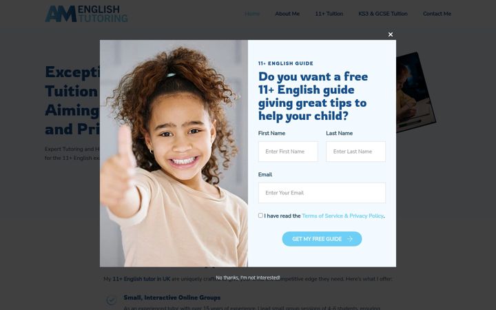 Screenshot of amenglishtutoring.co.uk