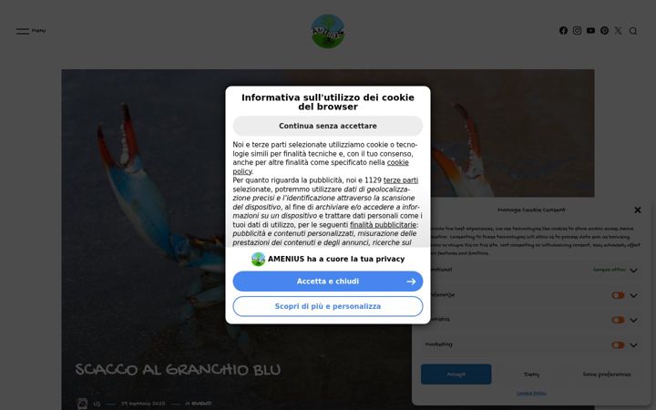 Screenshot of amenius.altervista.org