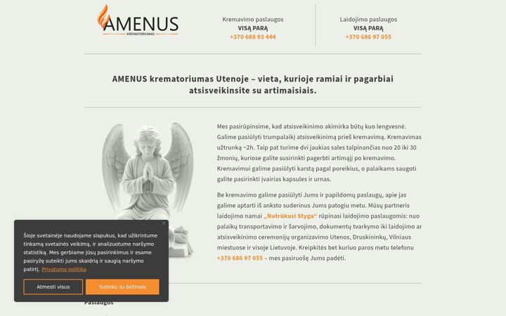 Screenshot of amenus.lt