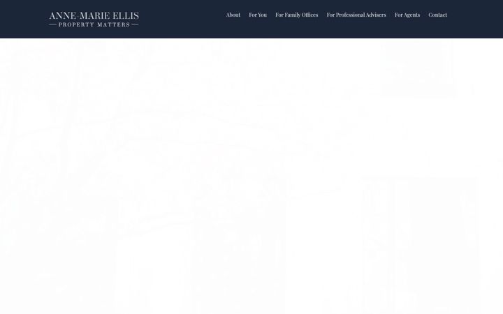 Screenshot of ameproperty.com