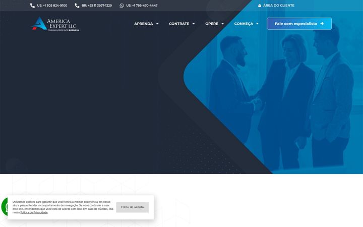 Screenshot του americaexpert.com