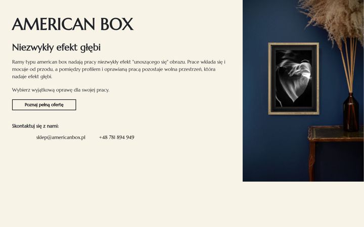 Screenshot of americanbox.pl