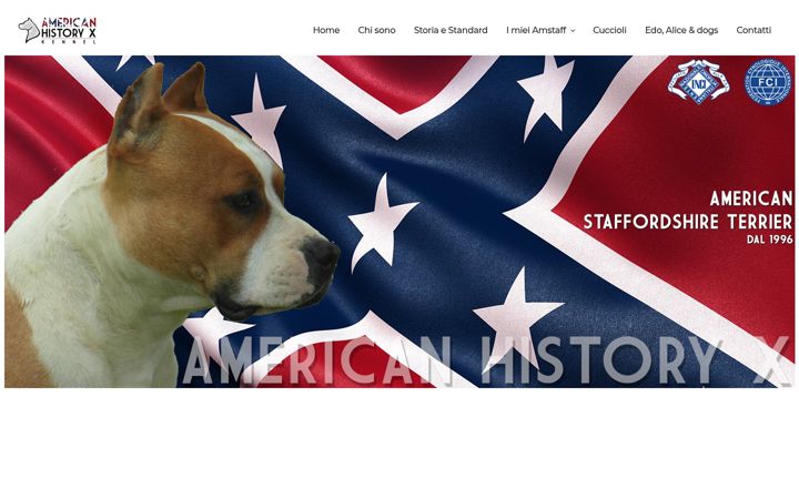 Ekrānuzņēmums no americanhistoryx.it