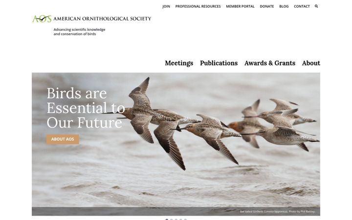 Screenshot of americanornithology.org