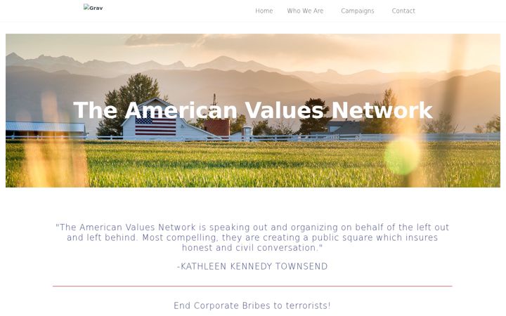 Screenshot ta' americanvaluesnetwork.org