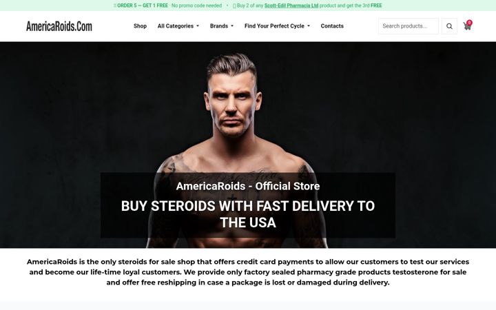 Screenshot of americaroids.com