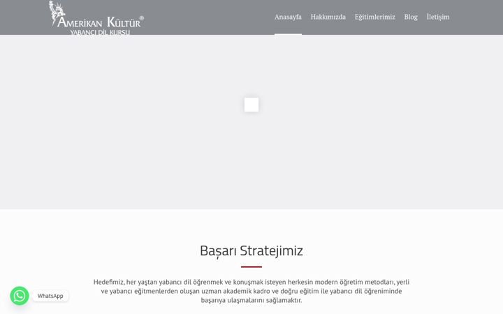 Screenshot van amerikankulturmersin.com.tr