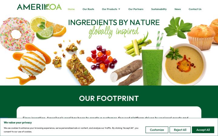 Screenshot of amerikoa.com