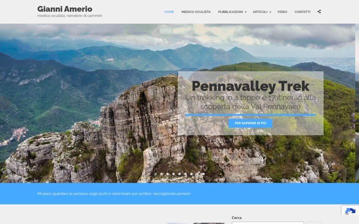 Screenshot of amerio.net