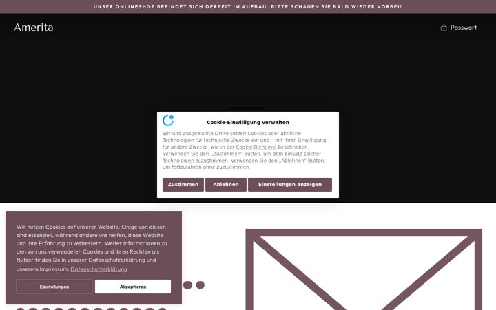 Screenshot of amerita.de