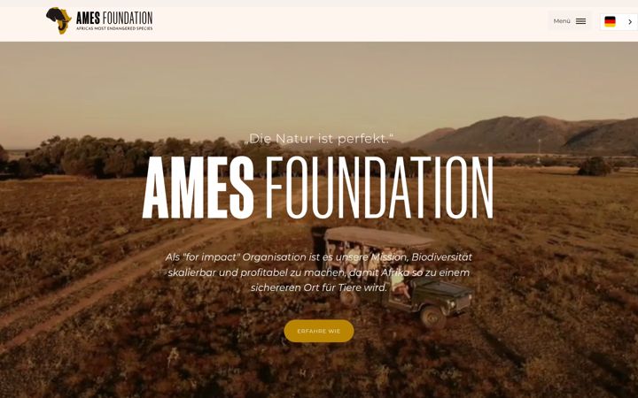 Screenshot of ames-foundation.com