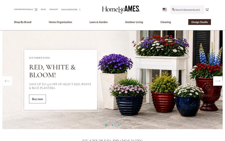 Screenshot of ames.com