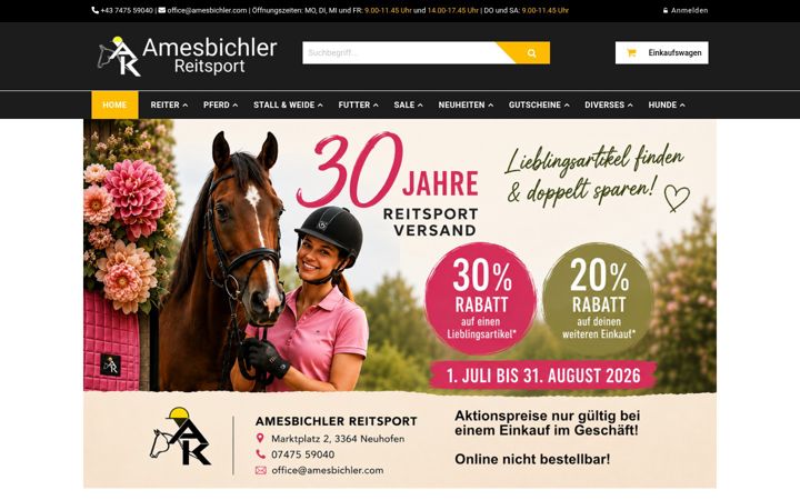 Screenshot of amesbichler.com