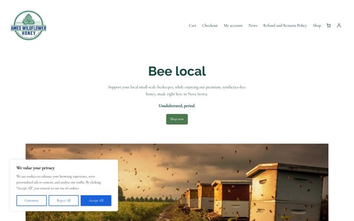 Screenshot of ameshoney.ca