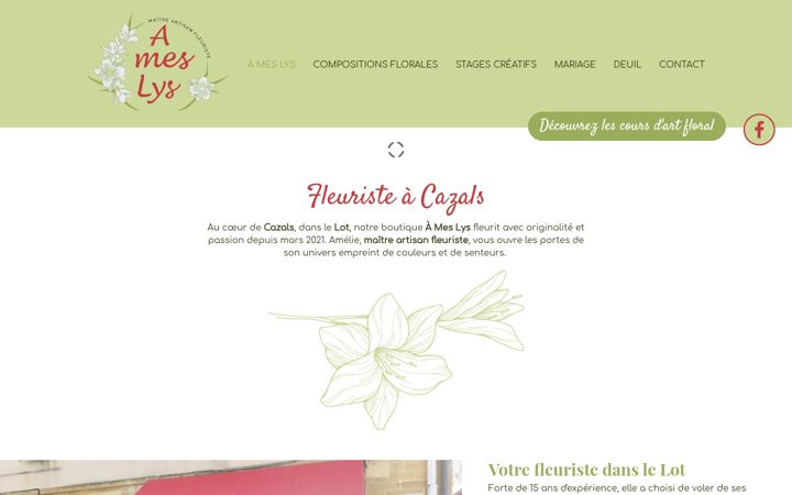 Ekraanipilt saidist ameslys.fr